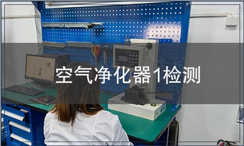 空氣凈化器1檢測