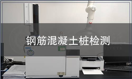 鋼筋混凝土樁檢測