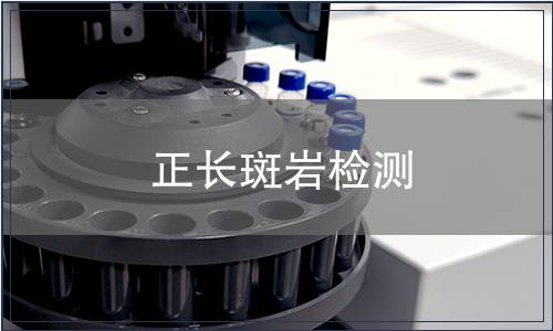 正長斑巖檢測