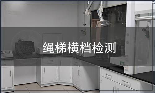 繩梯橫檔檢測(cè)