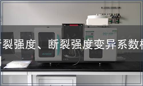 斷裂強度、斷裂強度變異系數檢測