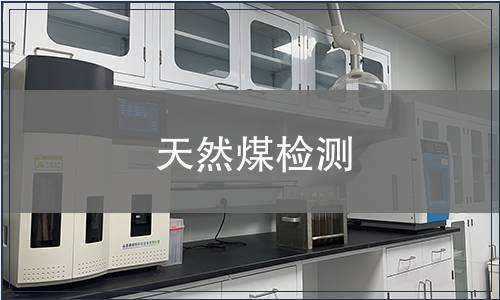 天然煤檢測
