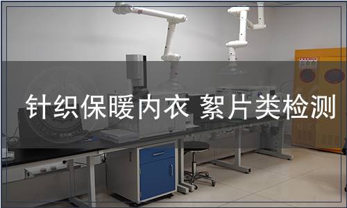 針織保暖內衣 絮片類檢測