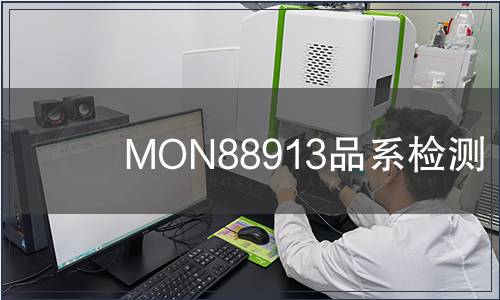 MON88913品系檢測