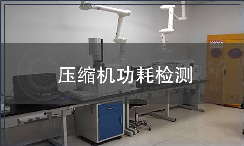 壓縮機(jī)功耗檢測(cè)