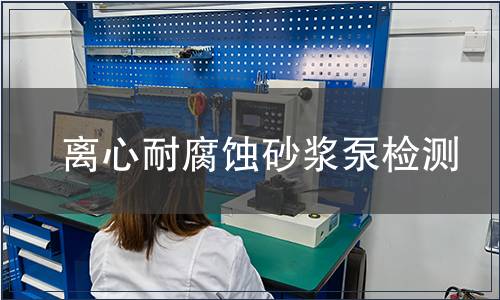 離心耐腐蝕砂漿泵檢測(cè)