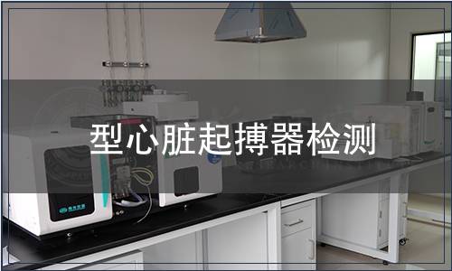 型心臟起搏器檢測