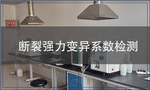 斷裂強力變異系數(shù)檢測