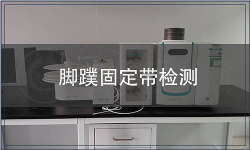 腳蹼固定帶檢測