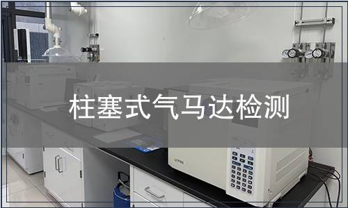 柱塞式氣馬達檢測