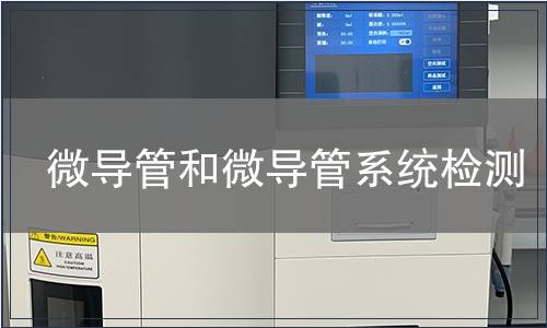 微導(dǎo)管和微導(dǎo)管系統(tǒng)檢測