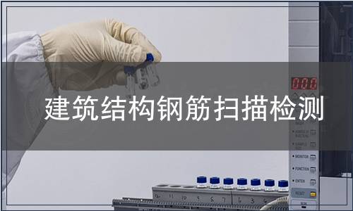 建筑結(jié)構(gòu)鋼筋掃描檢測(cè)