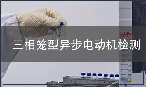 三相籠型異步電動機檢測