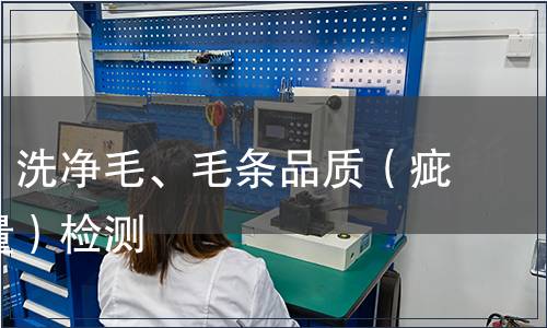 分級毛、洗凈毛、毛條品質（疵點、重量）檢測