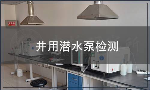 井用潛水泵檢測