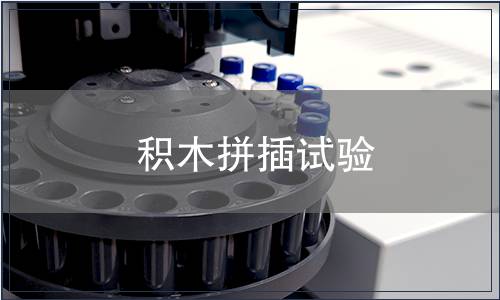 積木拼插試驗(yàn)