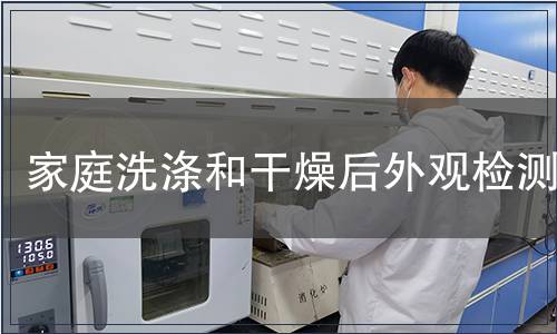 家庭洗滌和干燥后外觀檢測(cè)