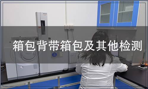 箱包背帶箱包及其他檢測(cè)