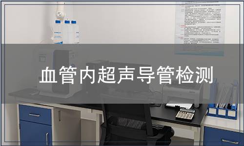 血管內超聲導管檢測