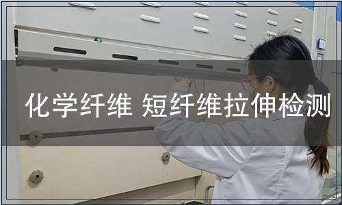 化學纖維 短纖維拉伸檢測
