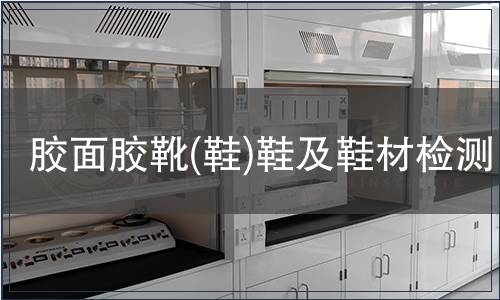 膠面膠靴(鞋)鞋及鞋材檢測