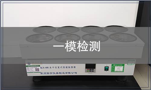 一模檢測