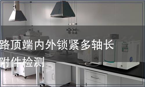 胸腰椎后路頂端內外鎖緊多軸長臂螺釘含附件檢測