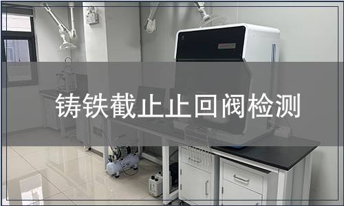 鑄鐵截止止回閥檢測