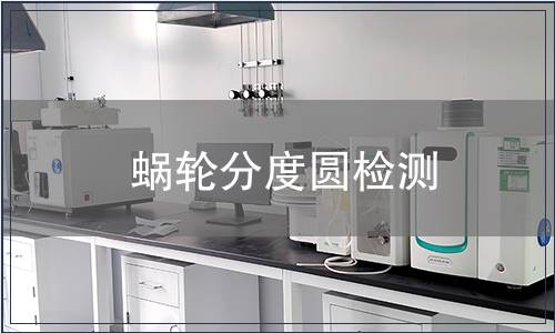 蝸輪分度圓檢測(cè)