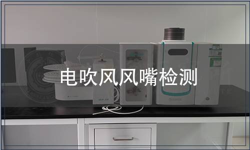 電吹風風嘴檢測