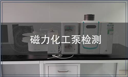 磁力化工泵檢測