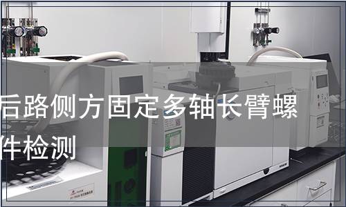 胸腰椎后路側(cè)方固定多軸長(zhǎng)臂螺釘含附件檢測(cè)