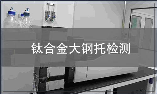 鈦合金大鋼托檢測(cè)