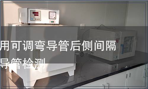 診斷消融用可調彎導管后側間隔溫控消融導管檢測