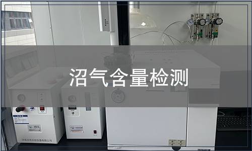 沼氣含量檢測