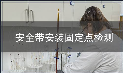 安全帶安裝固定點檢測