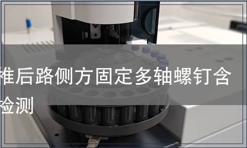 胸腰椎后路側(cè)方固定多軸螺釘含附件檢測