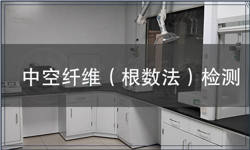中空纖維（根數(shù)法）檢測