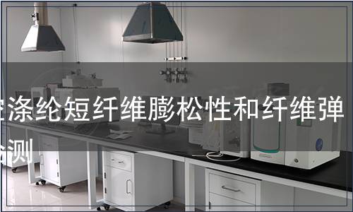 中空滌綸短纖維膨松性和纖維彈性檢測