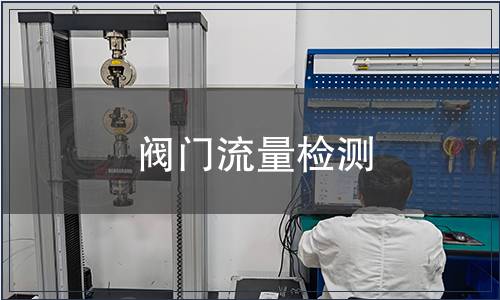 閥門流量檢測