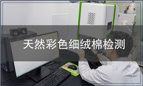 天然彩色細絨棉檢測
