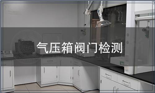 氣壓箱閥門(mén)檢測(cè)