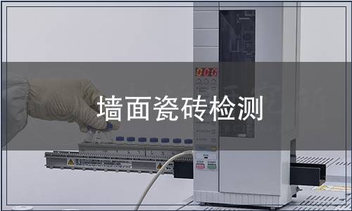 墻面瓷磚檢測(cè)