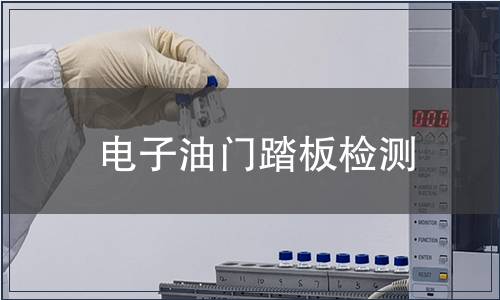 電子油門踏板檢測