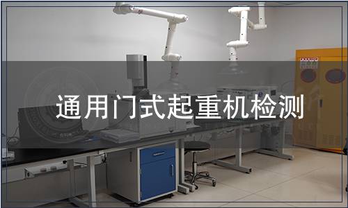 通用門式起重機檢測