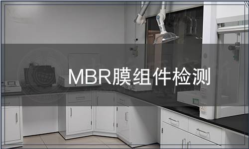 MBR膜組件檢測