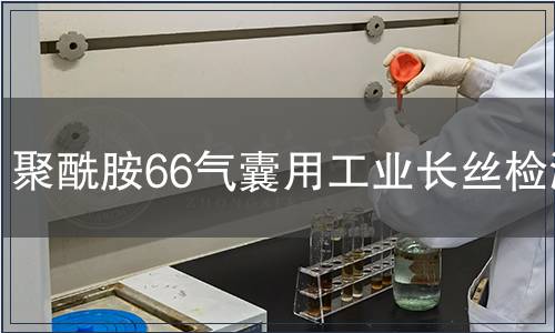 聚酰胺66氣囊用工業(yè)長(zhǎng)絲檢測(cè)