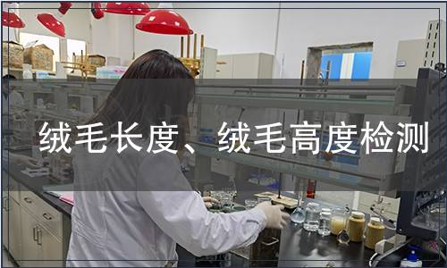 絨毛長度、絨毛高度檢測(cè)