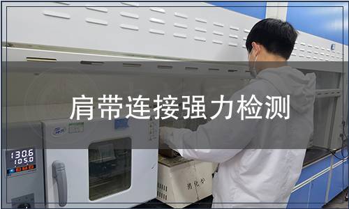 肩帶連接強(qiáng)力檢測(cè)