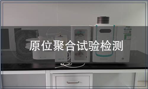 原位聚合試驗(yàn)檢測(cè)